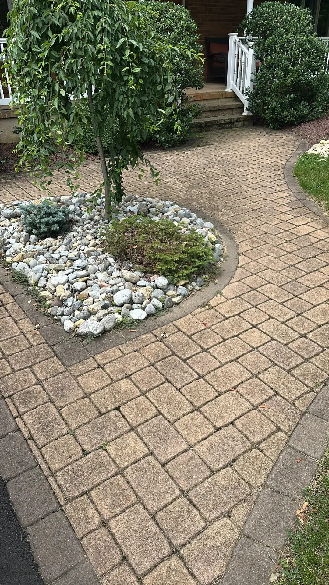 Paver walkway before cleaning