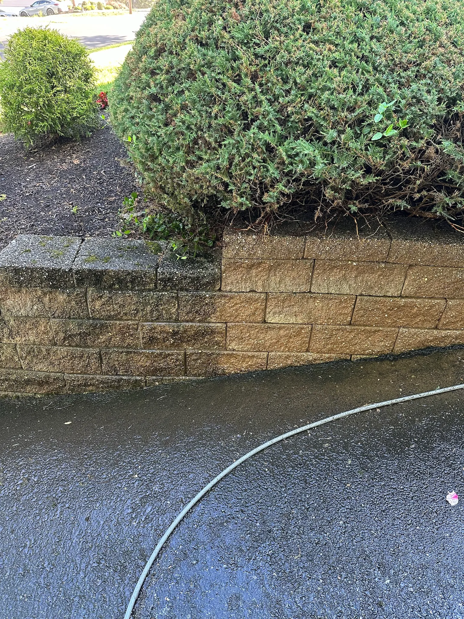 Somerville paver joint sanding